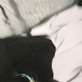 ホント綺麗の画像