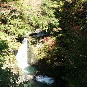 高野大滝の画像
