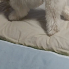 唸るむぎ2の画像