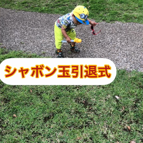 今更夜泣き。。なのかなの画像