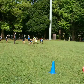 ダッシュ(その他チーム)④の画像