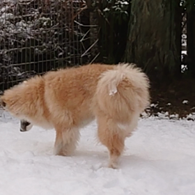 初めて雪遊びの画像