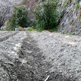 すぎぴたんの事件簿　シーズン２　１７８話（カメラは見た！決定的スクープ　(=^・・^=)）の画像