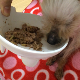 やっぱり今朝も…。の画像