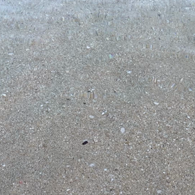 沖縄は今日も幸せ時間の画像