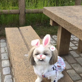 （笑）ぴょん子Chappy〜可愛い〜☆の画像