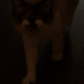 ストーキングＲの画像