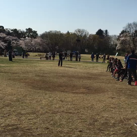 学年別インターバル(ゴール付近)⑮の画像