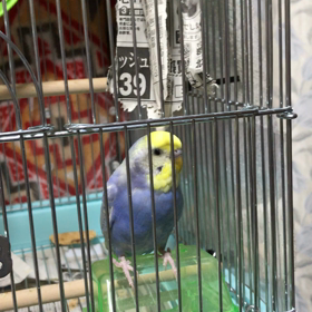 視野が狭かったの画像