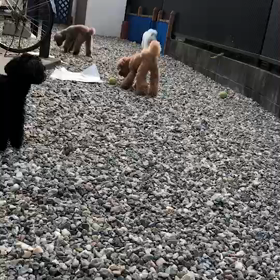 朝のそらの画像