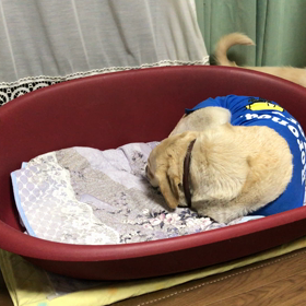 たまには真面目に悪態をついてみるの巻の画像