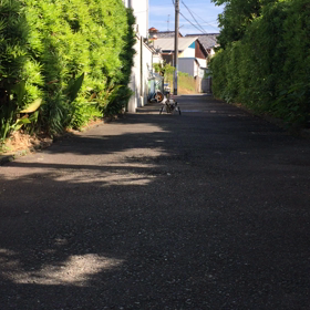 爆走 桃太郎の画像