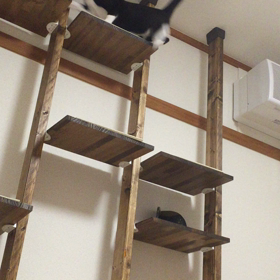 闘いの記録②の画像