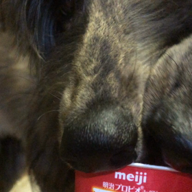 お盆　帰って来てるんだねぇの画像