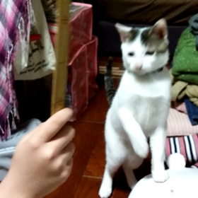 練習(笑)の画像