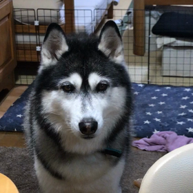 一時帰国❗️ その4の画像