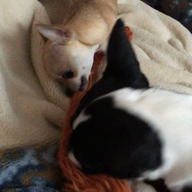 からの女の戦いの画像