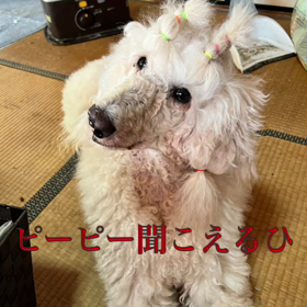 変な音が聞こえる。の画像