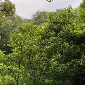 “自然と音遊び” プロジェクト vol.026！の画像