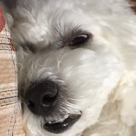 めもくちもあけたまま。の画像