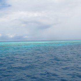 八重千瀬 クルーズの画像