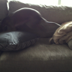 ハッスルタイムの画像