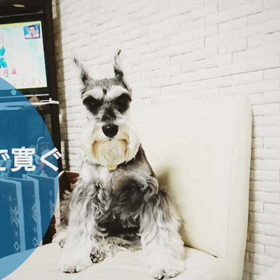 祖父母を思い出すきっかけは美味しい農作物の画像