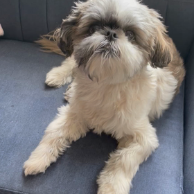 祈りのカルテ　第1話から6話の画像