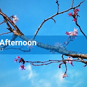 日曜日～(^-^)/の画像