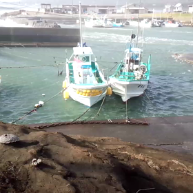 ワタツミの泡が舞う…。の画像