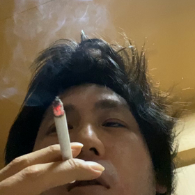 アークフェイクの画像