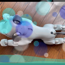 出かけるわけにはいかないね。。、の画像