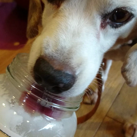 ワイルドだろぅ～の画像