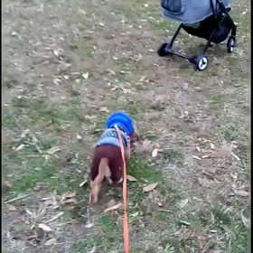 目で訴える女の画像