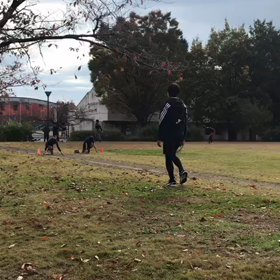 チャレンジカップリレー練習⑨の画像