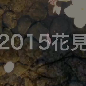 上野公園の画像