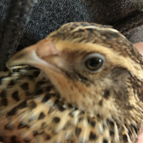 モヤモヤ…癒して!!の画像