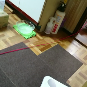 綱引き？の画像