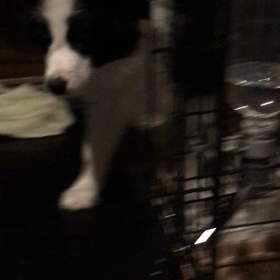 久しぶりのみーなちゃんの画像