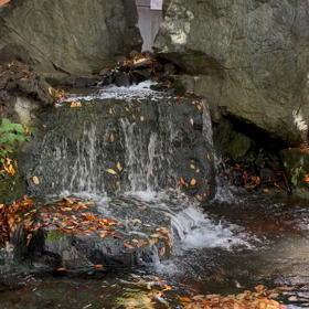 インスピレーションで動いてみる♪の画像