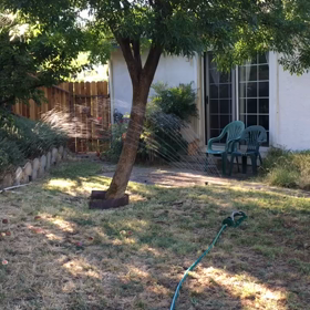 芝生の水やりの画像