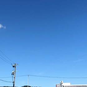 ６月のご来店のワンちゃん^ ^の画像