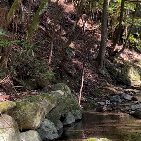 韓国エリザベート弾丸ツアーつづき　実は異動と移動の画像