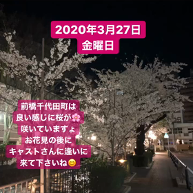 千代田町の桜良い感じに咲いていますょ♡の画像