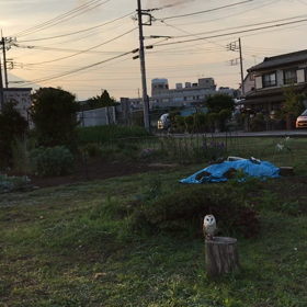 フライトの画像