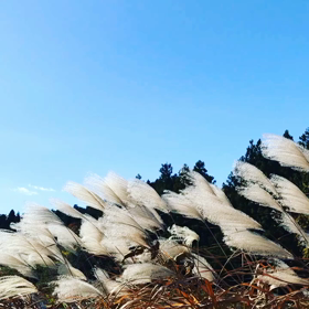 新米食べようっとの画像