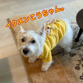 イクメンこうちゃんの画像