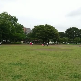 リレー通し練習①の画像