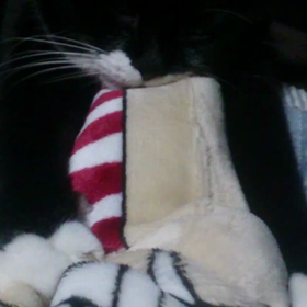 フミフミ2の画像