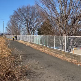 東金子駅伝（下り坂）２区①の画像